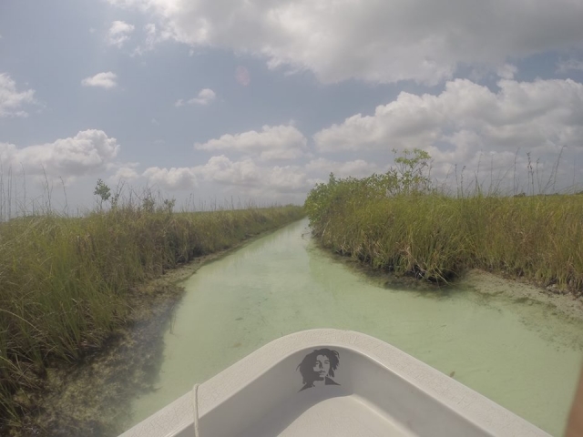 lugaternera increibles